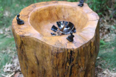 Earth, Tree, Bowl