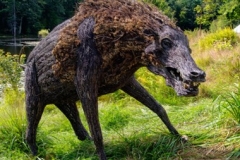15) Robert Shannahan: Boar